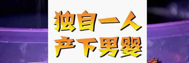 女子趁午休回家生娃后繼續(xù)上班 孩子放在鄰居家門口 對此大家怎么看？