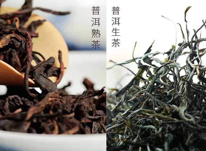 如何區(qū)分普洱生茶熟茶 如何鑒別普洱茶生茶和熟茶？