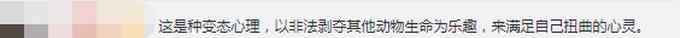 西班牙一伙獵人殺死540只鹿和野豬后將尸體擺在一起 還咧嘴大笑合影炫耀