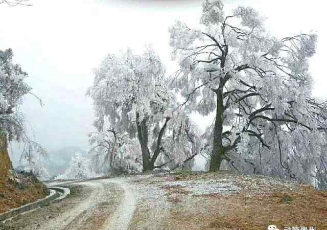 今天哪里下雪了 今天貴州哪里下雪了？雪景高清大圖來了....