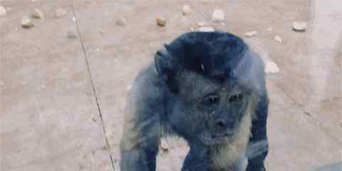 天津動物園 嚯！天津動物園大變樣了！你居然沒還不知道？！