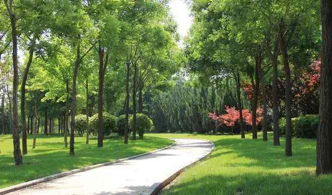 什么樣的公園 家住公園里，是一種什么樣的體驗(yàn)？