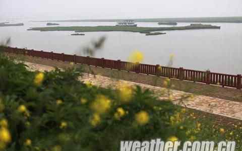 洞庭湖是我國第幾大淡水湖 洞庭湖面積縮到不足原來一半 曾是第一大淡水湖