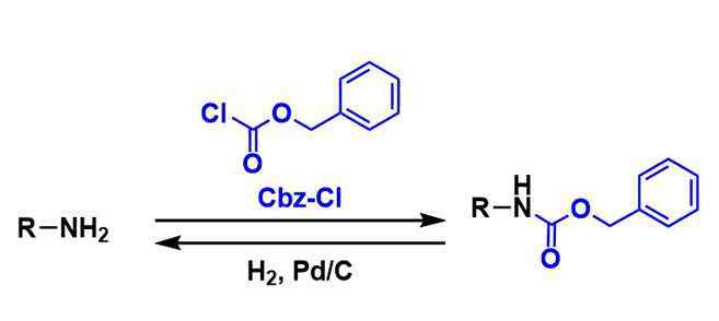 CBZ 【有機反應百科】芐氧基羰基保護基 Cbz Protecting Group