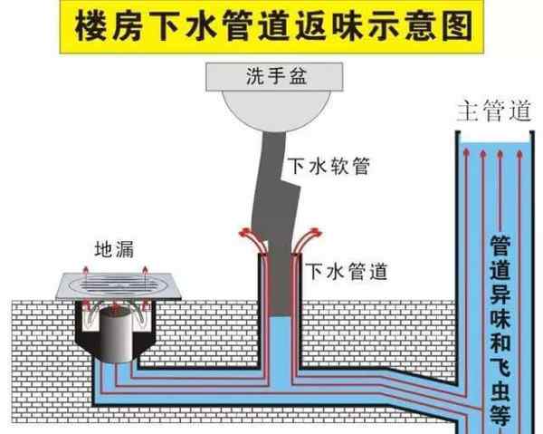 下水道反味兒的解決辦法 廚房下水道反味原來(lái)還可以這樣處理！