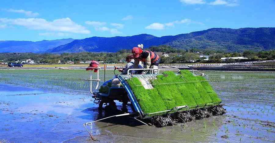 水稻插秧機(jī) 9大真相，揭秘水稻插秧機(jī)市場走勢