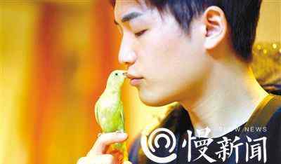 白斑鳩 重慶小伙玩鸚鵡鴿子 捧回雜技界“奧斯卡”