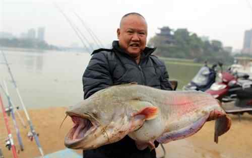 釣到魚的圖片 衡陽市民在湘江釣上一條45斤的大魚