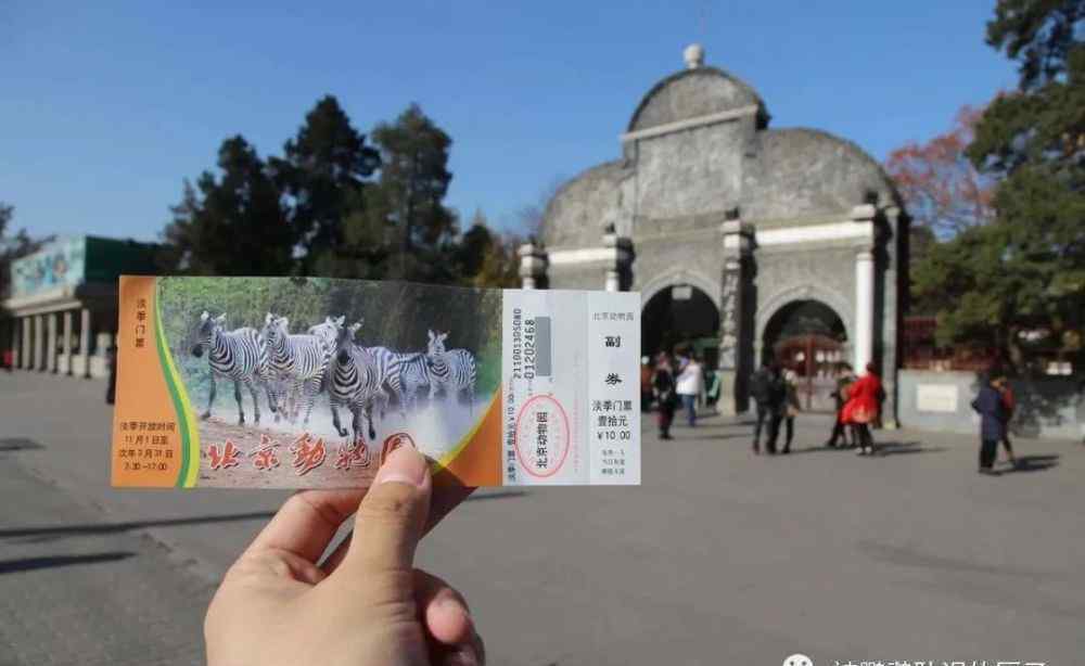 紅尾黑鳳頭鸚鵡 北京市野生動(dòng)物園里面的鸚鵡，看看你能認(rèn)識(shí)幾種鸚鵡？