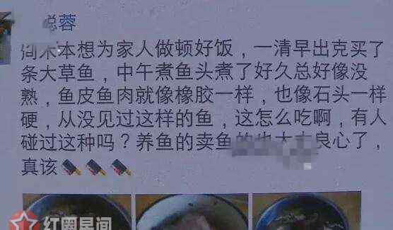 怪魚流入長沙市場新聞 神秘怪魚流入長沙市場 高壓鍋燉不爛口感像橡膠