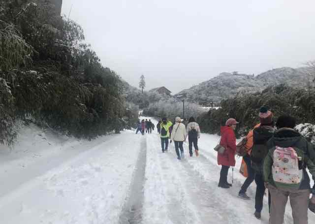 金佛山還有雪嗎 金佛山今天又下雪了，周末去看雪女性還免門票