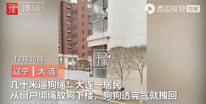 大連隔離居民放長繩在二樓遛狗 狗狗透完氣就拽回：不給防疫工作添麻煩