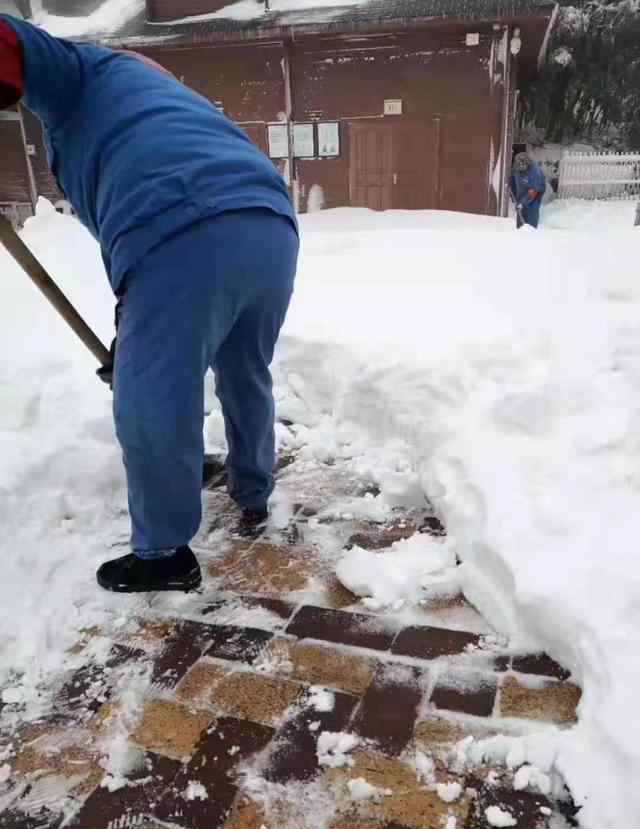 金佛山還有雪嗎 金佛山今天又下雪了，周末去看雪女性還免門票