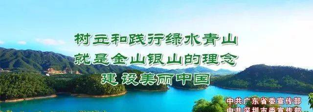 必知！燃氣灶熄火保護裝置有多重要？