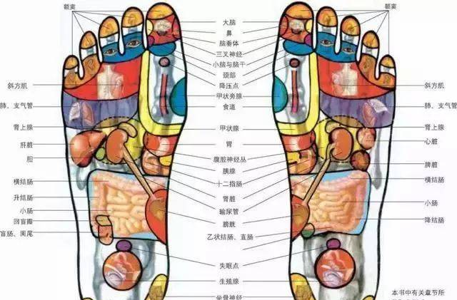 腳部穴位詳細(xì)圖解！