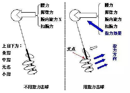 打羽毛球時(shí)，你會(huì)手指發(fā)力嗎？（附手指發(fā)力技巧）