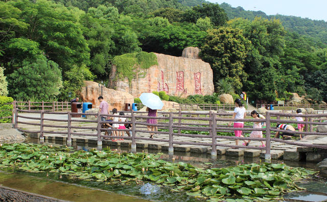 深圳福永鳳凰山森林公園一日游攻略