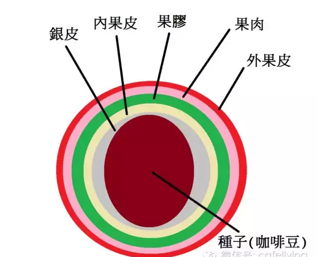 劇情集