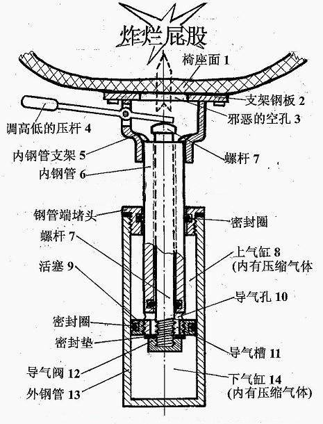 圓肥白