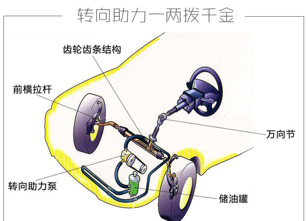 面筋哥