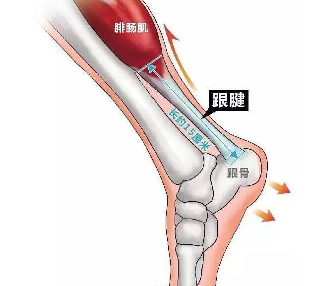 以為會(huì)化妝