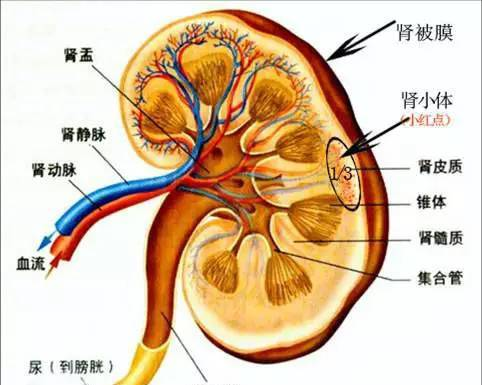 中國(guó)證券英才網(wǎng)