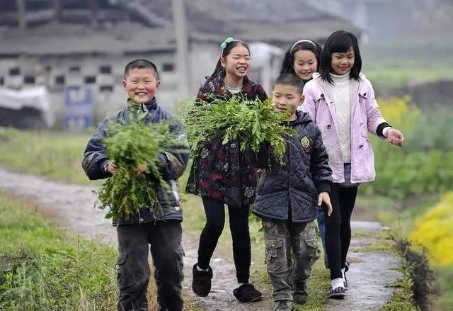 3月3的地菜子，你以為只是好吃？趕緊告訴其他人！