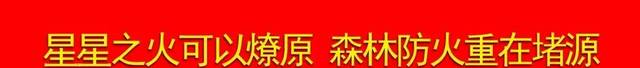 最新信訪條例全文（2017最新版本）