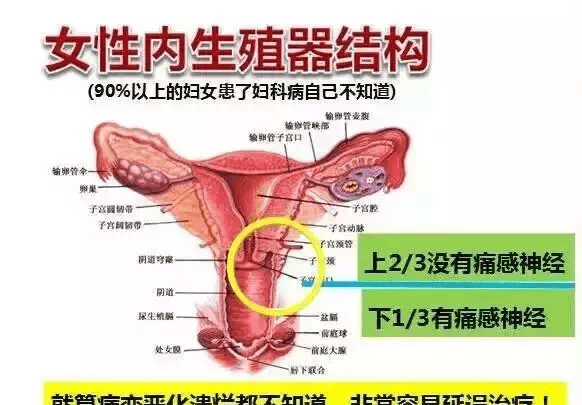 為什么中國女性婦科疾病發(fā)病率居全球首位？