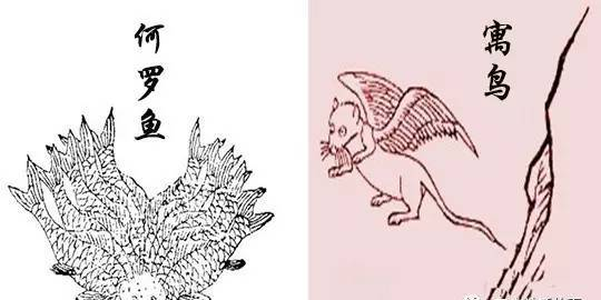 《山海經(jīng)》異獸奇鳥之——何羅魚、孟槐、鰼鰼魚、寓鳥