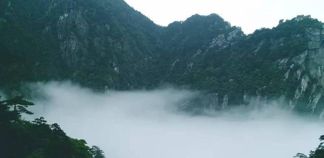 中國(guó)最神奇的電影《廬山戀》