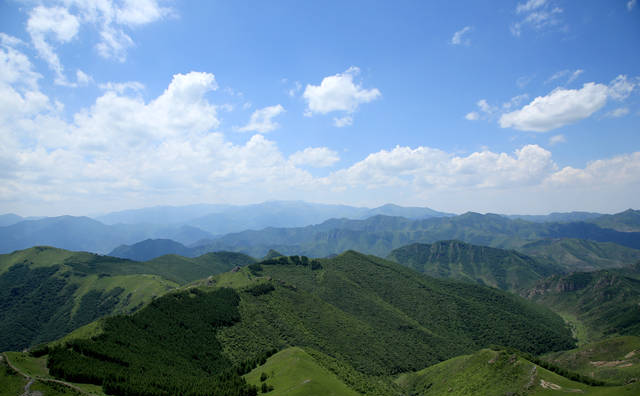 北京周邊最美的山——西靈山，高山草甸花開