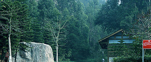 原來，廈門狐尾山公園還可以這么玩…