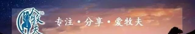 雙筒望遠(yuǎn)鏡選購攻略