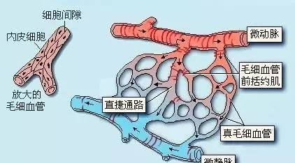 云南衛(wèi)生監(jiān)督網(wǎng)