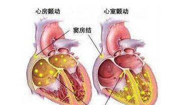 輕快播百度云網(wǎng)盤