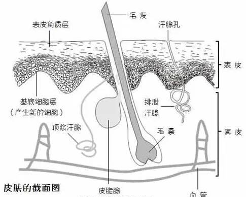 驗(yàn)證碼接碼