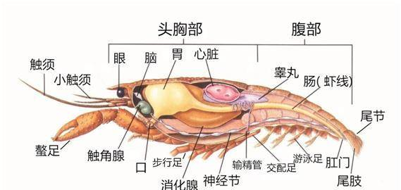 上海春季藝術(shù)沙龍