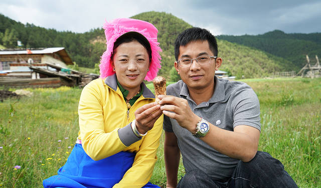 新鮮松茸的N種吃法，教你十三種方法蕩漾舌尖上的美味