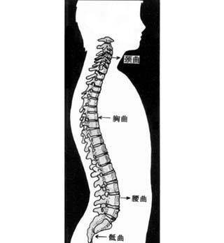 中文JAVA技術(shù)網(wǎng)