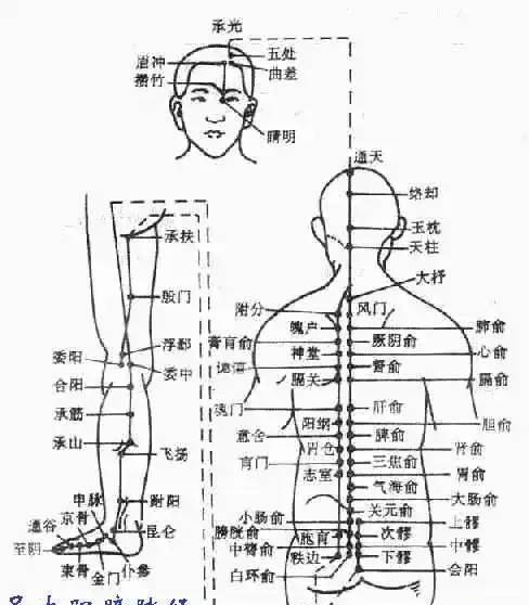 埋線、針灸減肥穴位圖(內(nèi)附埋線減肥與針灸減肥的區(qū)別)