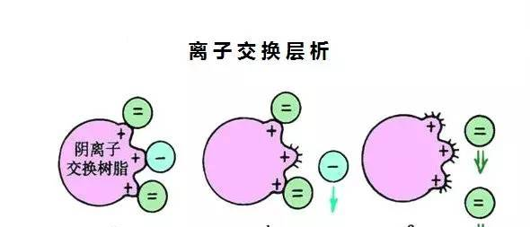 總結(jié)|離子交換層析概述