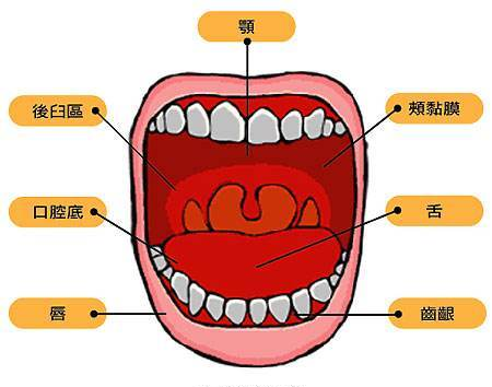 八招遠(yuǎn)離口底癌，速度收藏