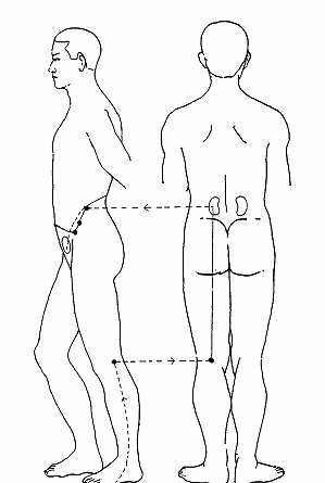 小強(qiáng)百寶盒