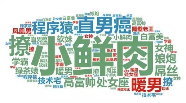 網上常說的“理呆”、“明明病”、“李菊?！保@些95后熱詞你能看懂幾個？