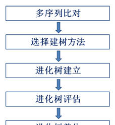 一文讀懂進化樹