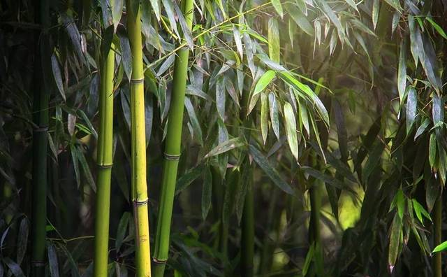 大家好，給大家介紹一下，這是我最常去的地方@清涼山公園