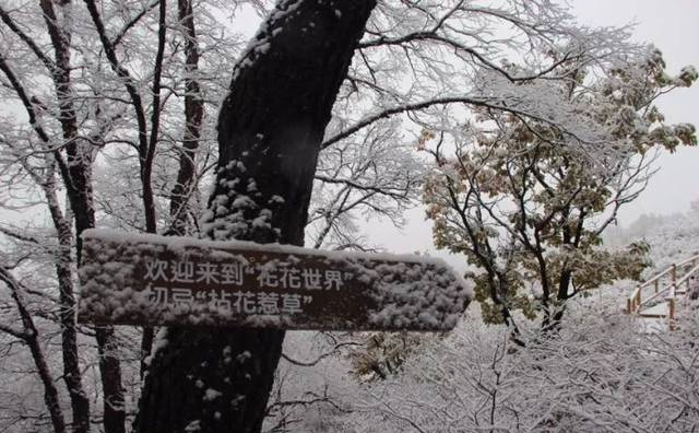 大家好，給大家介紹一下，這是我們昌平小湯山溫泉