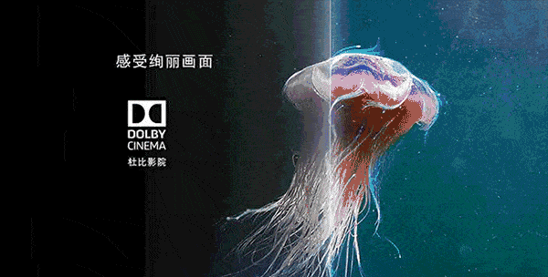 電視、電影里常見的杜比Dolby Vision和Dolby Audio究竟是什么