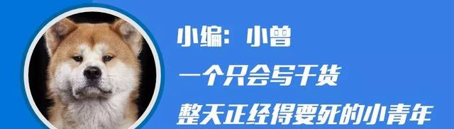 詞根詞綴記憶法 | 詞匯量從4000到8000的最佳途徑